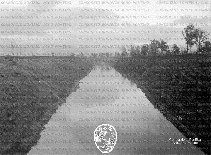 PONTINO/BOR000953.jpg