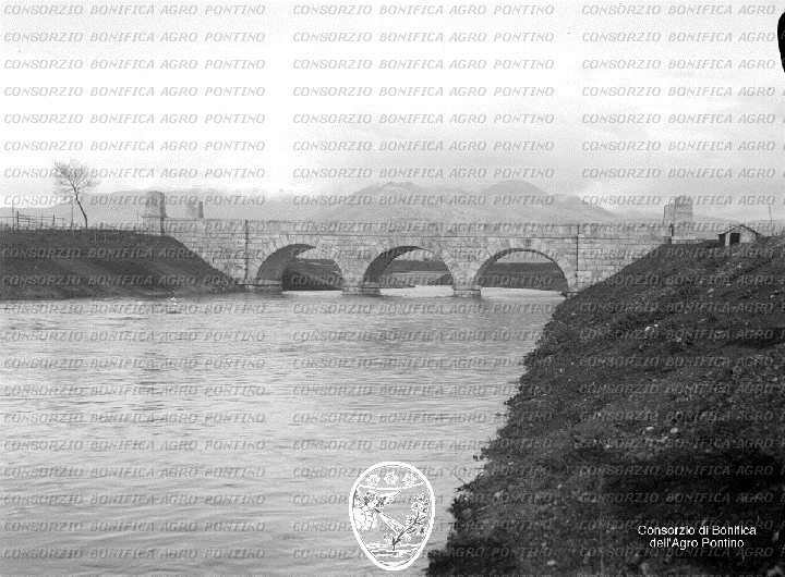 PONTINO/BOR000954.jpg