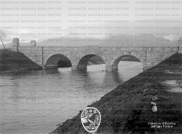 PONTINO/BOR000955.jpg