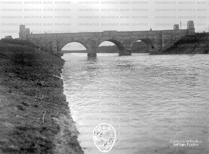 PONTINO/BOR000956.jpg