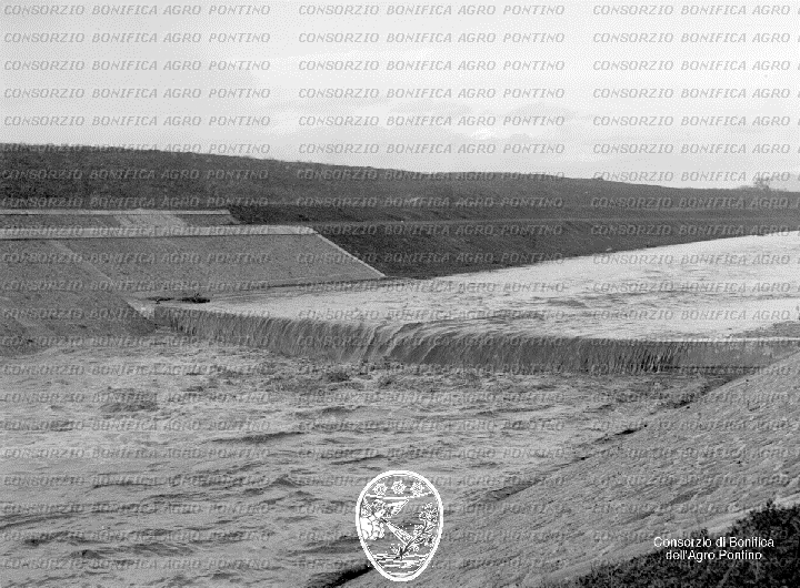 PONTINO/BOR000959.jpg