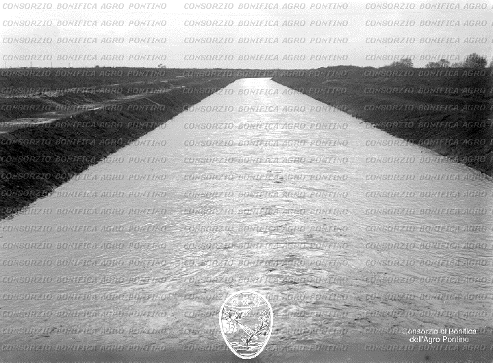 PONTINO/BOR000960.jpg
