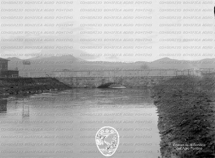 PONTINO/BOR000961.jpg