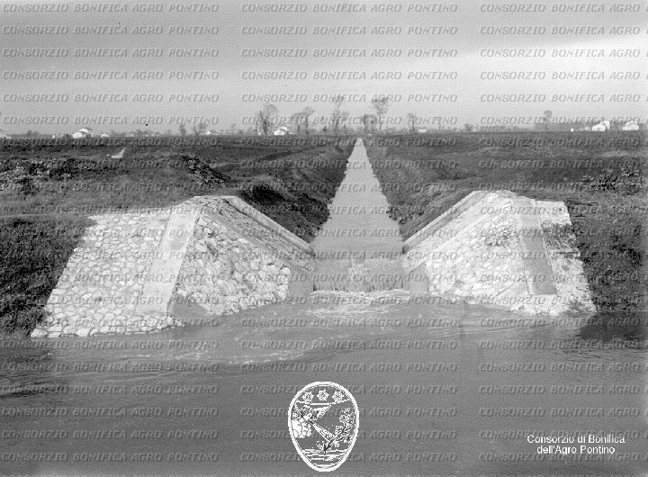 PONTINO/BOR000962.jpg