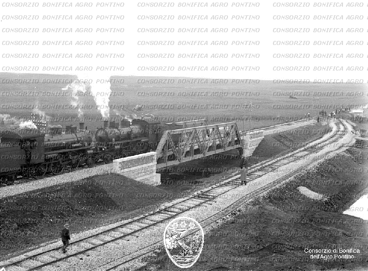 PONTINO/BOR000966.jpg