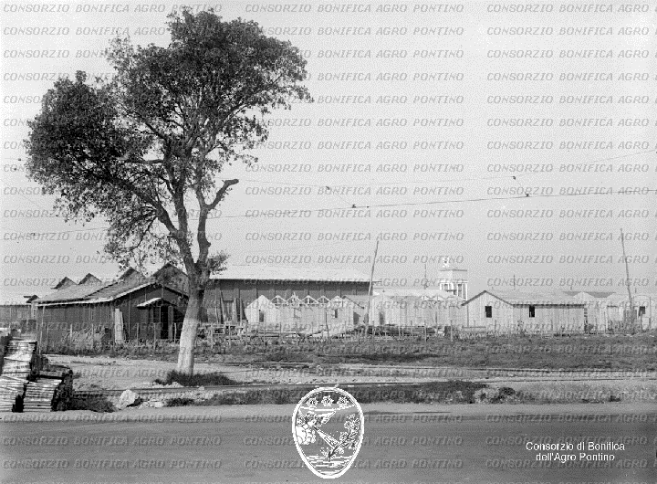 PONTINO/BOR000969.jpg