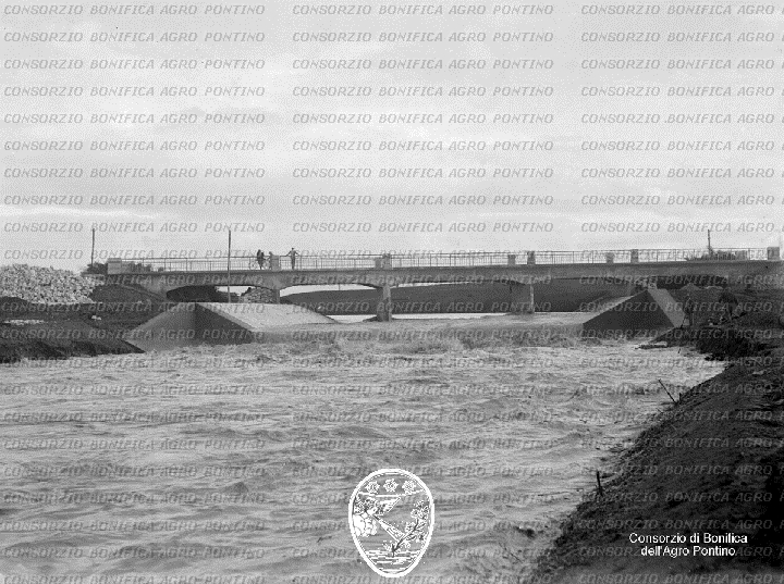 PONTINO/BOR000978.jpg