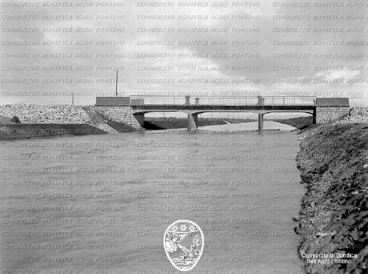 PONTINO/BOR000979.jpg