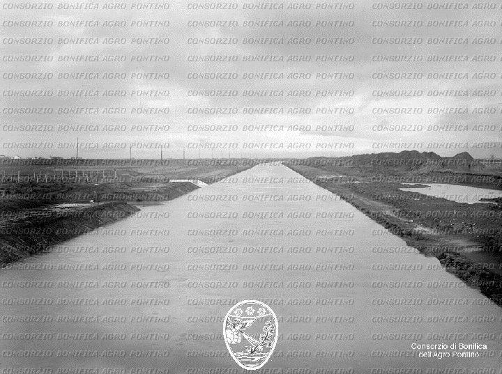 PONTINO/BOR000980.jpg
