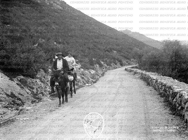 PONTINO/BOR000985.jpg