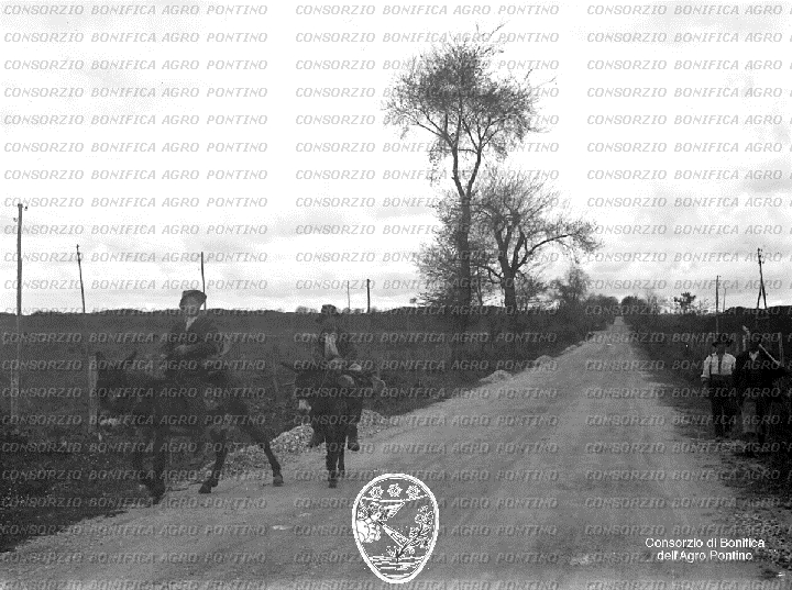PONTINO/BOR000990.jpg