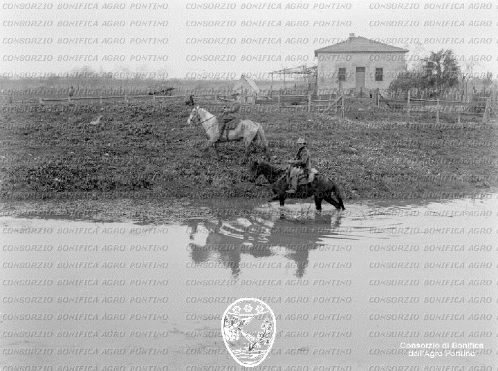 PONTINO/BOR001009.jpg