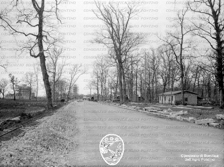 PONTINO/BOR001027.jpg