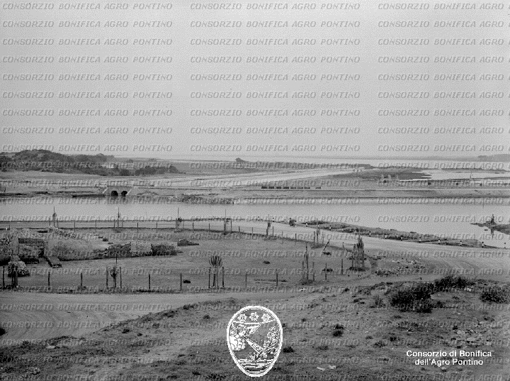 PONTINO/BOR001032.jpg