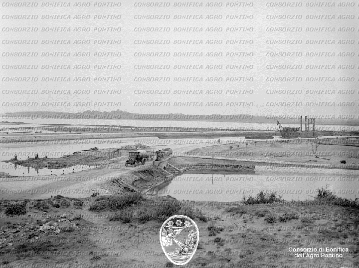 PONTINO/BOR001033.jpg