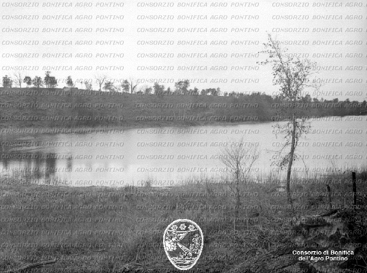 PONTINO/BOR001040.jpg