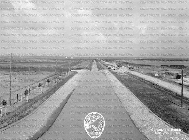 PONTINO/BOR001055.jpg