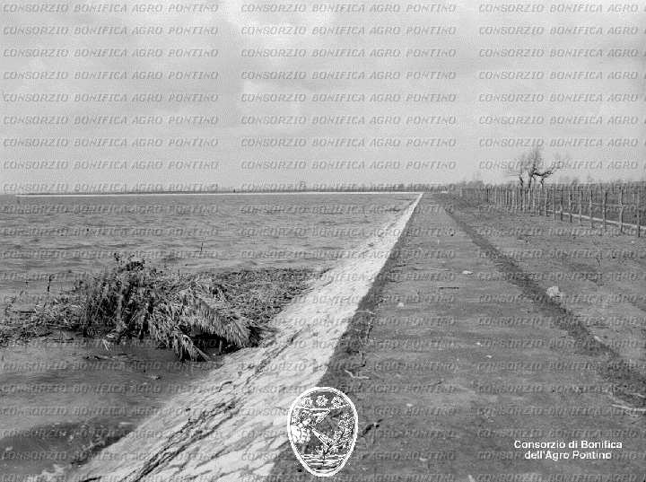 PONTINO/BOR001057.jpg