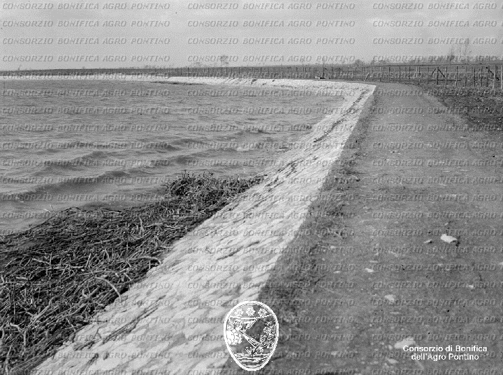 PONTINO/BOR001058.jpg