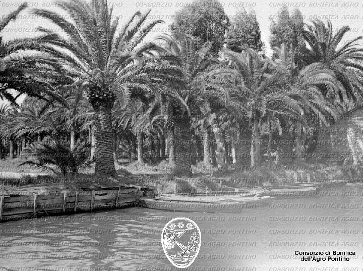 PONTINO/BOR001059.jpg