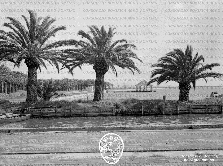 PONTINO/BOR001060.jpg