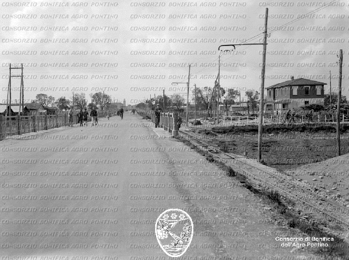 PONTINO/BOR001063.jpg