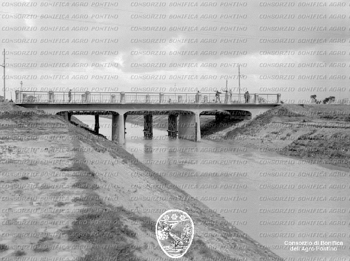 PONTINO/BOR001064.jpg