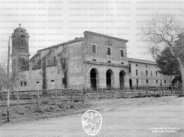 PONTINO/BOR001066.jpg