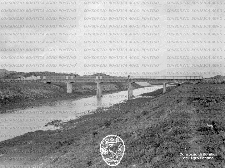 PONTINO/BOR001067.jpg