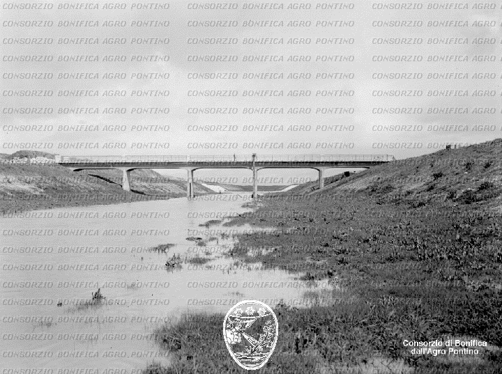 PONTINO/BOR001068.jpg