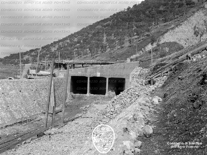 PONTINO/BOR001070.jpg