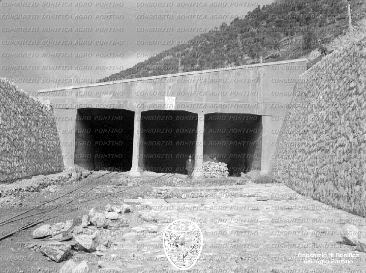 PONTINO/BOR001071.jpg