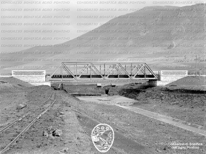 PONTINO/BOR001072.jpg