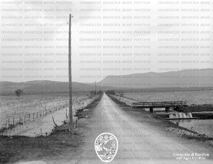 PONTINO/BOR001081.jpg