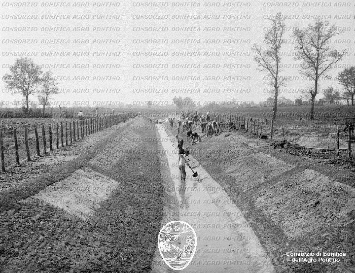 PONTINO/BOR001086.jpg