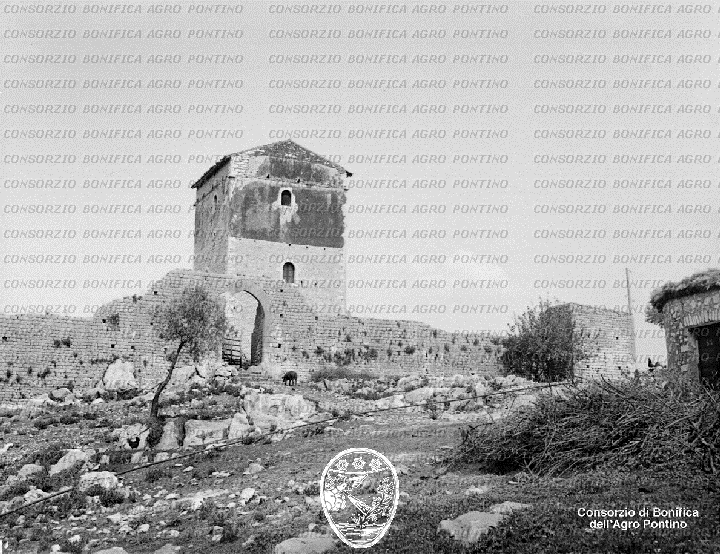 PONTINO/BOR001101.jpg