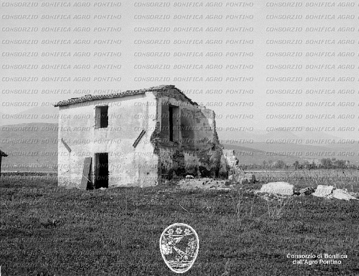 PONTINO/BOR001114.jpg