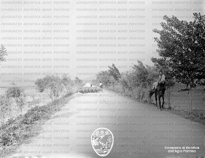 PONTINO/BOR001115.jpg