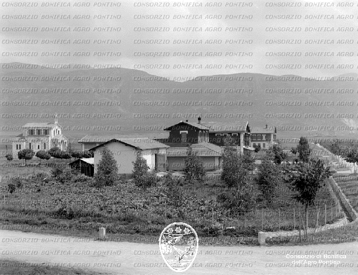 PONTINO/BOR001122.jpg