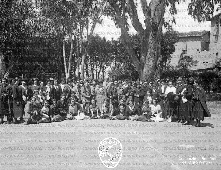 PONTINO/BOR001131.jpg