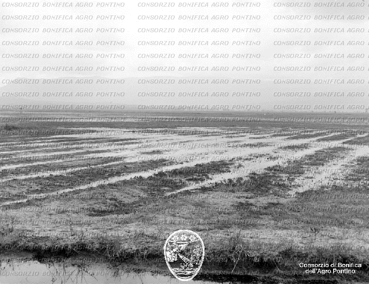 PONTINO/BOR001154.jpg