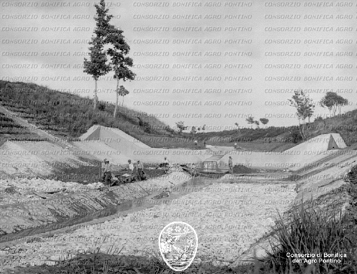PONTINO/BOR001164.jpg