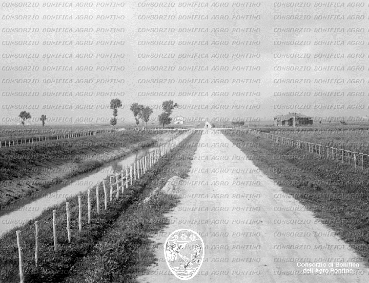 PONTINO/BOR001170.jpg