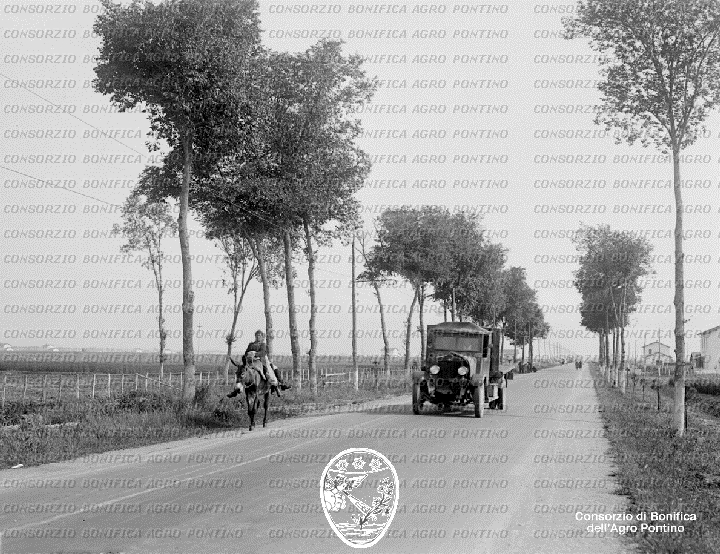 PONTINO/BOR001172.jpg