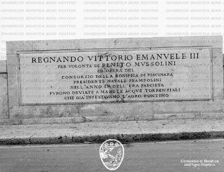 PONTINO/BOR001173.jpg