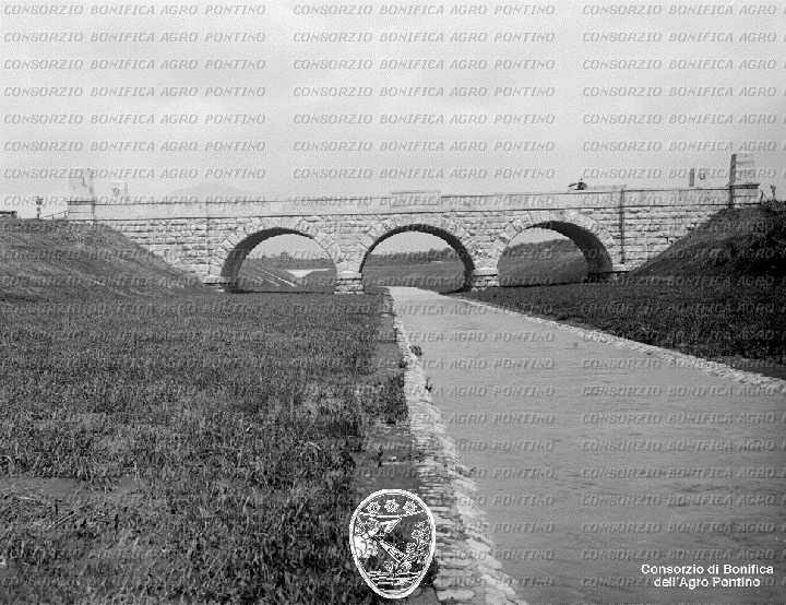 PONTINO/BOR001174.jpg