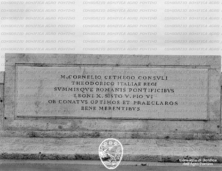 PONTINO/BOR001175.jpg