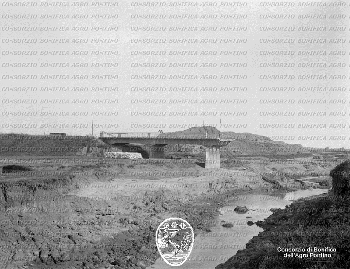 PONTINO/BOR001409.jpg
