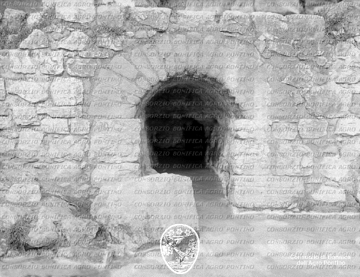PONTINO/BOR001413.jpg