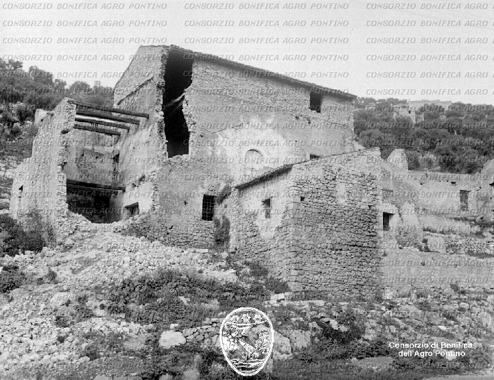 PONTINO/BOR001414.jpg